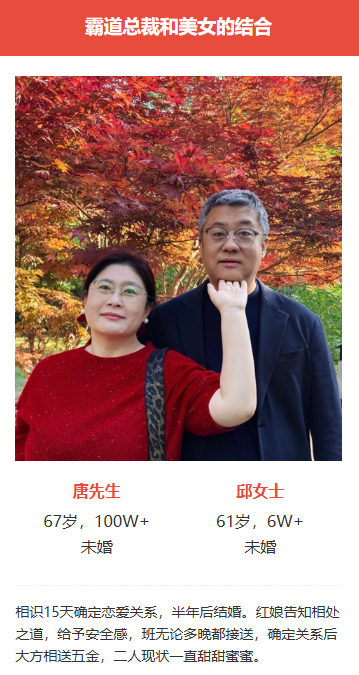 霸道总裁和美女的结合